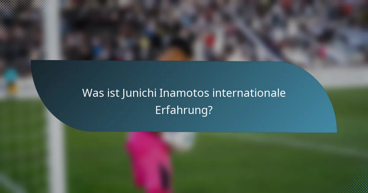 Was ist Junichi Inamotos internationale Erfahrung?