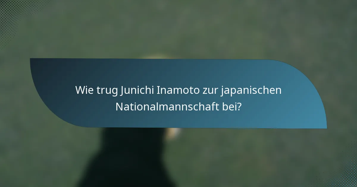 Wie trug Junichi Inamoto zur japanischen Nationalmannschaft bei?